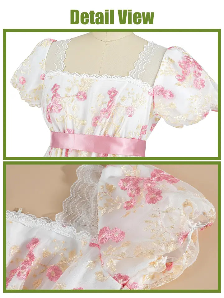 NSPSTT Daphne Floral Regency Gown - Pink Embroidered Vintage Dress 