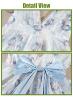 Maxi Dress Long - Renaissance Floral Puff Sleeve Costume– NSPSTT